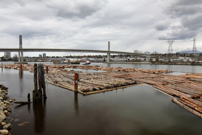 Illustration for article titled Pics from the Curbside: 2018-03-25 to St. Edwards Crossing